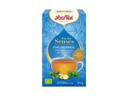 Yogi Pure Freshness 20st (6 pak x 20st)